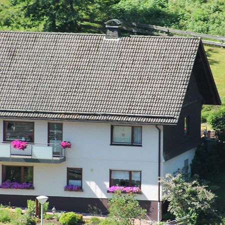 Holiday Home Rehsiepen Schmallenberg Exteriér fotografie